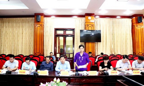 Phó Chủ tịch UBND tỉnh Hà Thị Minh Hạnh phát biểu tại buổi làm việc với Tập đoàn FLC.