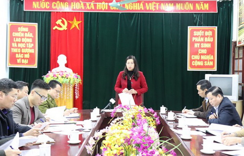 Phó Chủ tịch UBND tỉnh Hà Thị Minh Hạnh phát biểu chỉ đạo tại buổi làm việc với Sở Công thương.
