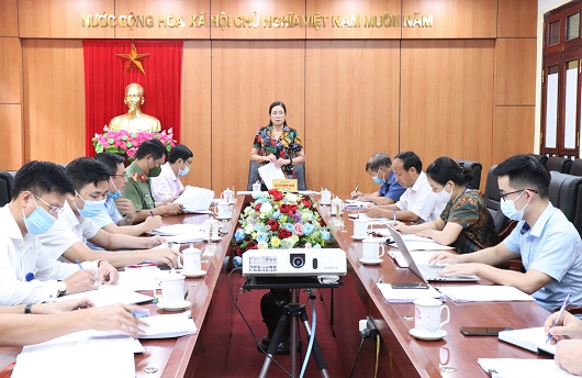 Phó Chủ tịch UBND tỉnh Hà Thị Minh Hạnh kết luận cuộc họp.